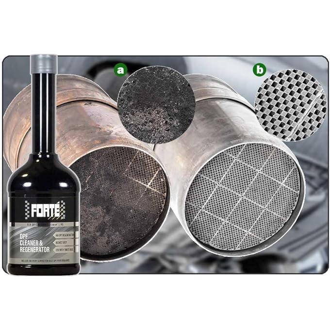 FORTE PARTICLE FILTER DPF FAP PER CONTAINER - Image 2